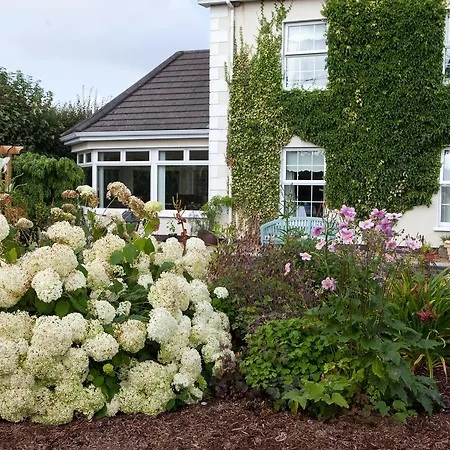 Laburnum 4* טולו