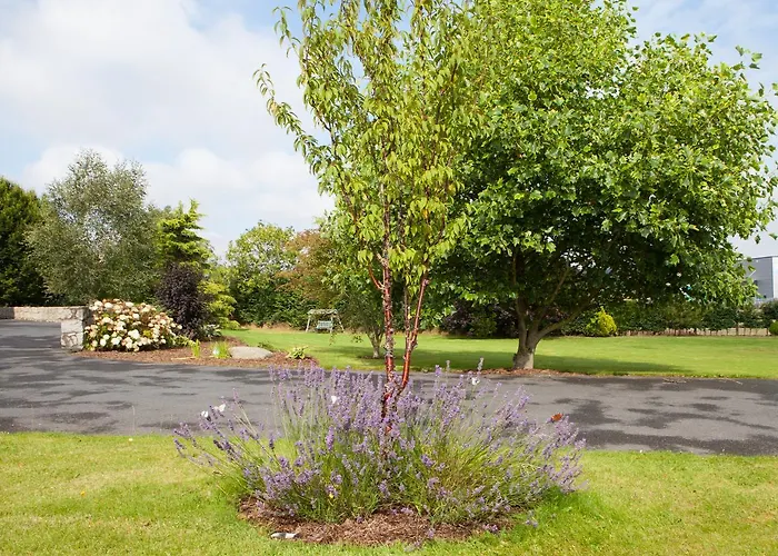 Laburnum