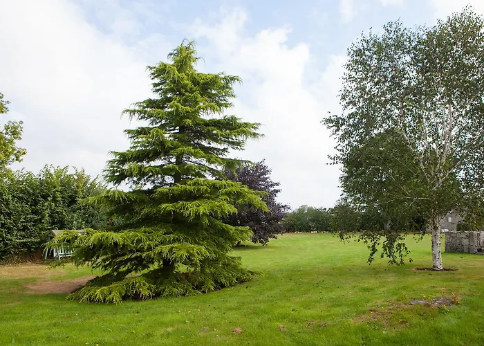 Laburnum 4* Таллоу