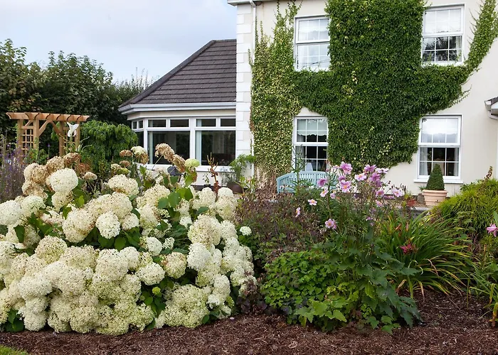 Laburnum 4* Таллоу