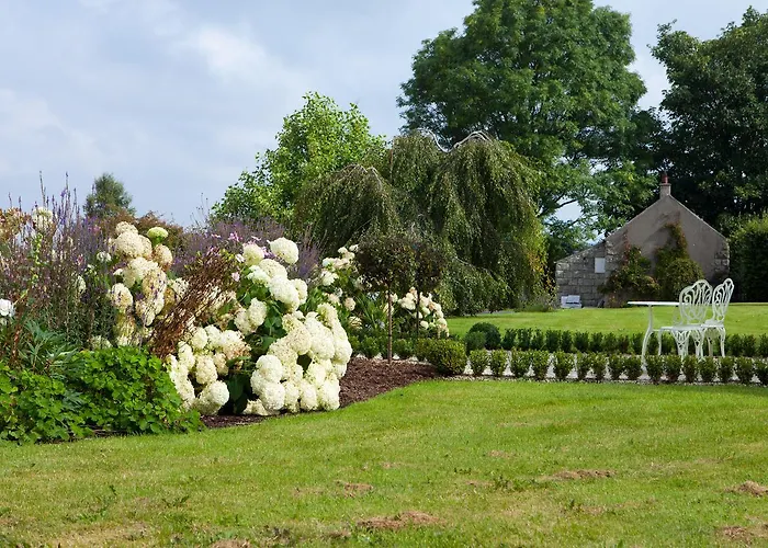 فندق مبيت وإفطار Laburnum 4*